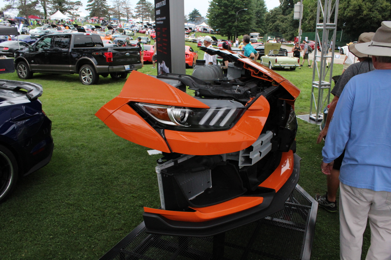 Illustration for article titled PVGP photos